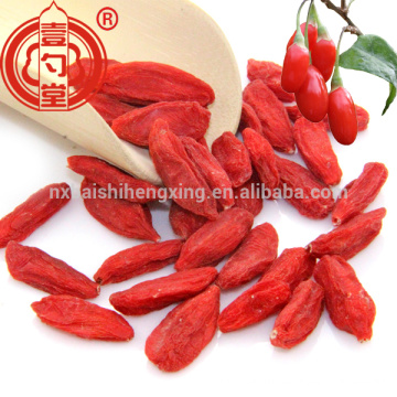 China barbary secado Gobberry de los granos pequeños Wolfberry Fruit para la venta